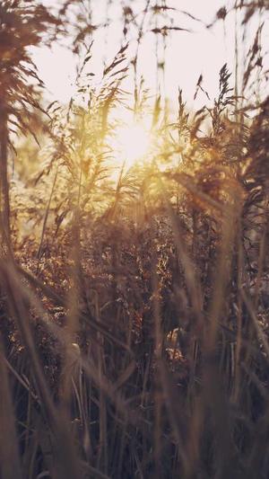 高端网站建设多少钱截图5