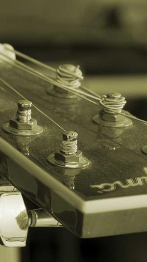 秒收录蜘蛛池截图1