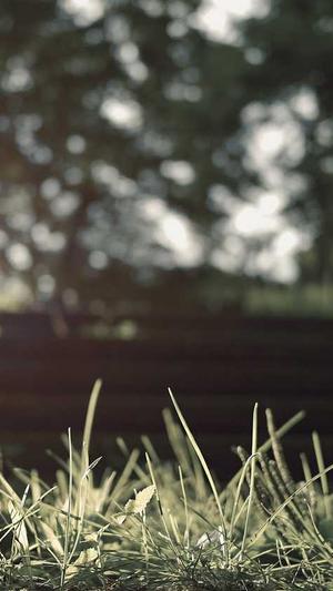 哪里网站建设截图3