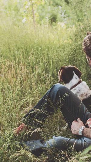 seo优化辅助工具截图2