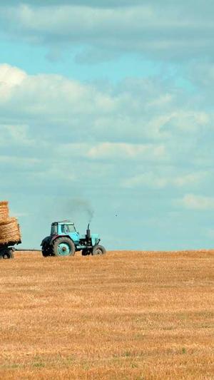 蜘蛛池站群源码截图3