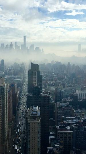 seo站长工具运营截图1