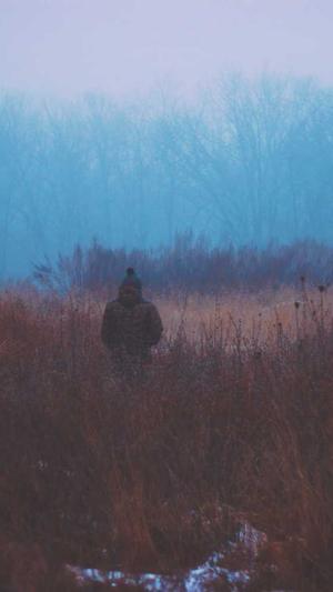 seo排名工具哪个好用截图3