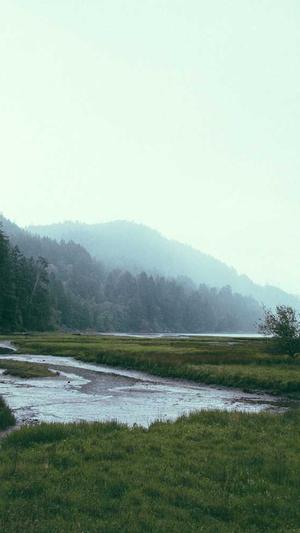 重庆网站seo优化排名截图5