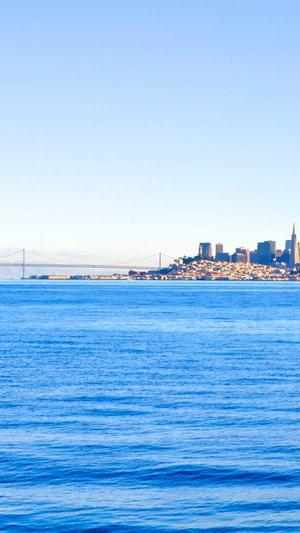 站长工具seo综合查询是不是关闭了截图5