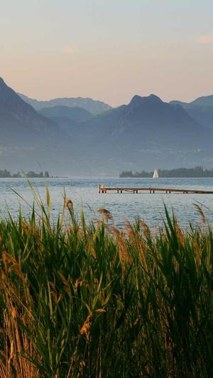 谷歌seo电影解说工具截图5