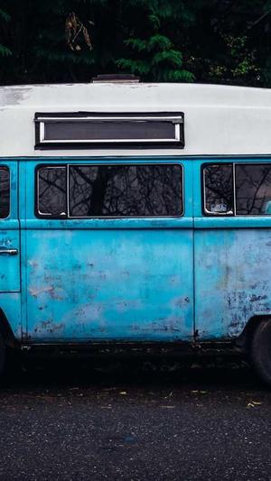 宝塔可以安装蜘蛛池吗截图1