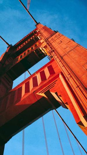 品牌网站建设截图1