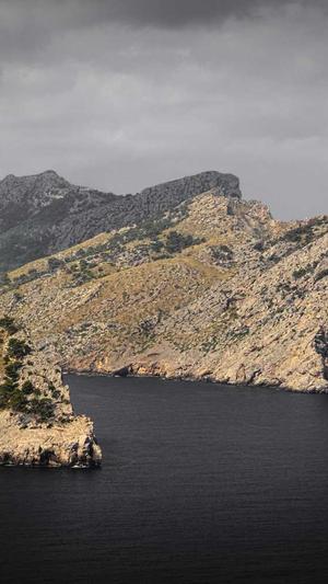 哪里网站建设截图1