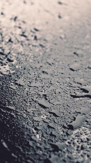 斗牛seo工具截图5