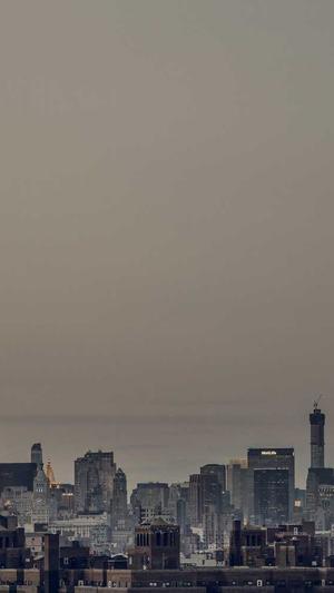 泛目录程序下载截图3