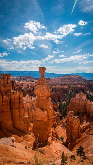 上海营销网站建设截图3