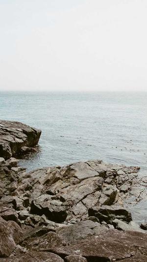 黒帽seo工具截图3