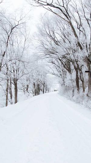 蜗牛精灵seo工具怎么样截图3