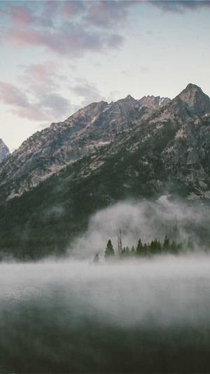 超级蜘蛛池怎么样截图1