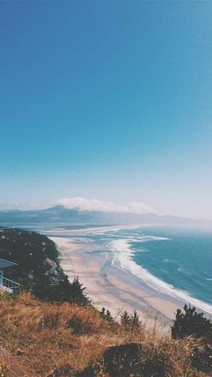 贵州搜狗蜘蛛池出租截图4